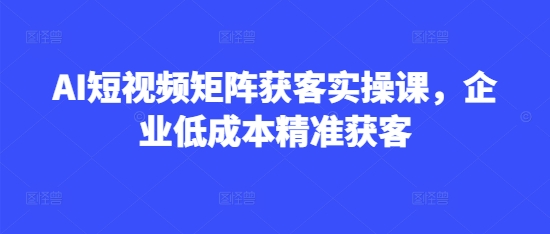 AI短视频矩阵获客实操课，企业低成本精准获客-九零网创