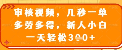 审核视频，几秒一单，多劳多得，新人小白一天轻松3张【揭秘】-九零网创