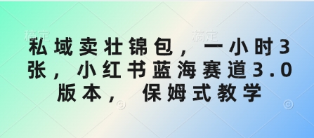 私域卖壮锦包，一小时3张，小红书蓝海赛道3.0版本， 保姆式教学-九零网创
