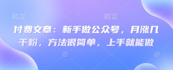 付费文章：新手做公众号，月涨几干粉，方法很简单，上手就能做-九零网创