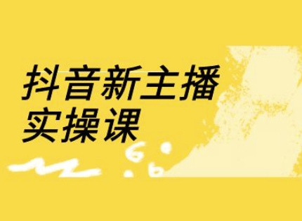 抖音新主播实操课，直播间流量运营线上实操课(18节)-九零网创