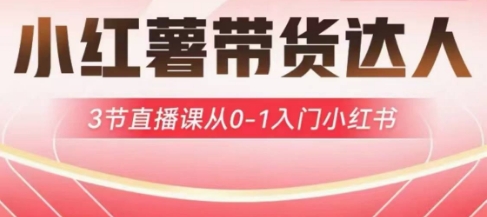 小红薯达人带货启航计划，3节直播课从0-1入门小红书-九零网创