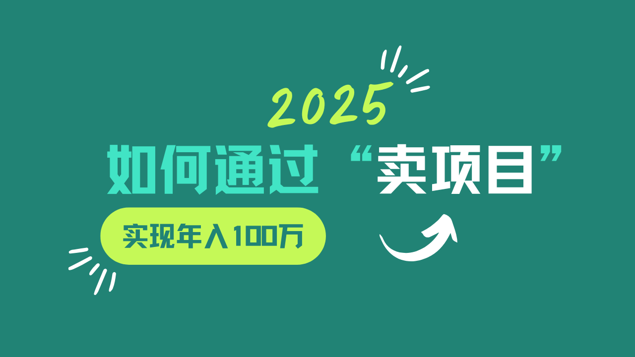 2025年如何通过“卖项目”实现年入100w-九零网创