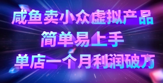 咸鱼卖小众虚拟产品，简单易上手，单店一个月利润破W-九零网创