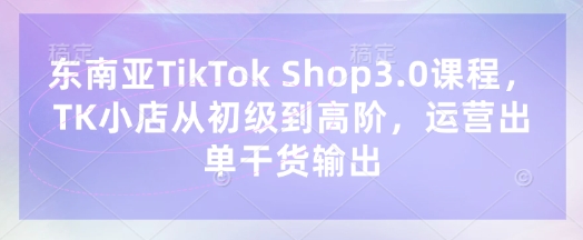 东南亚TikTok Shop3.0课程，TK小店​从初级到高阶，运营出单干货输出-九零网创