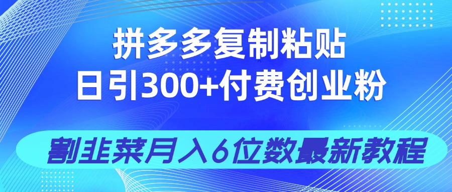 拼多多复制粘贴日引300+付费创业粉，割韭菜月入6位数最新教程！-九零网创