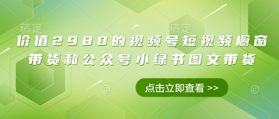 价值2980的视频号短视频橱窗带货和公众号小绿书图文带货-九零网创
