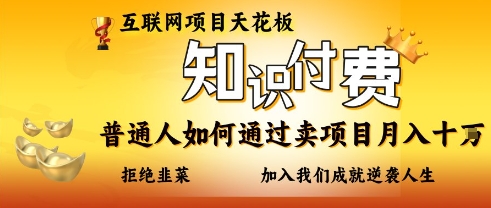 互联网项目天花板，知付付费项目，普通人如何通过卖项目月入十个，拒绝韭菜【揭秘】-九零网创
