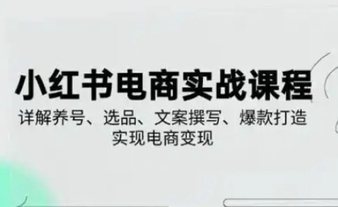 小红书从0-1实操课(2023-2025)，详解养号、选品、文案撰写、爆款打造实现电商变现-九零网创