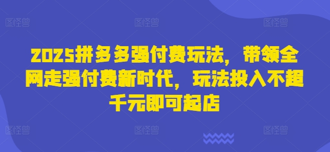 2025拼多多强付费玩法，带领全网走强付费新时代，玩法投入不超千元即可起店-九零网创