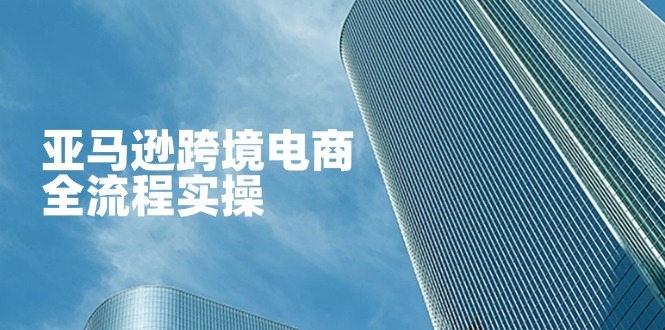 亚马逊跨境电商全流程实操，教你从零开始，掌握店铺运营与广告技巧-九零网创