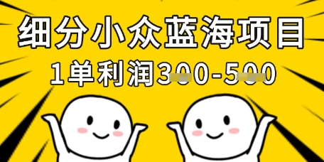 细分小众蓝海项目，一单利润3张，每月收入稳定过1w+-九零网创