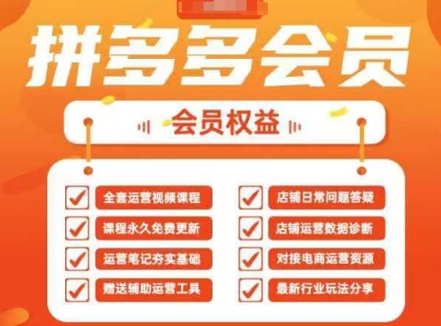 2025拼多多运营实战课，40节全流程教学，覆盖拼多多运营全链路-九零网创