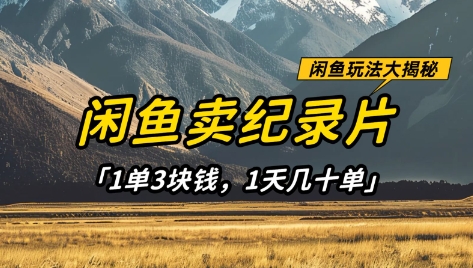 闲鱼卖纪录片1单3块钱，1天几十单，项目稳定有潜力-九零网创