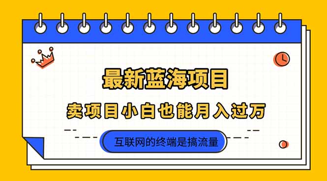 2025年最新蓝海项目，卖项目小白也能月入过万-九零网创