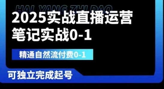 2025实战直播运营0-1，精通自然流付费0-1，可独立完成起号-九零网创