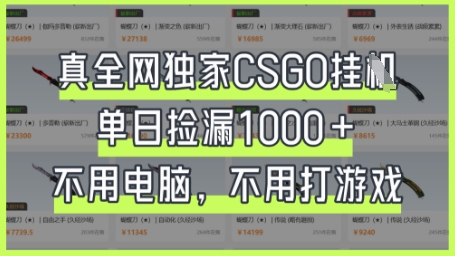真全网独家CSGO挂G，单日捡漏1k+【揭秘】-九零网创