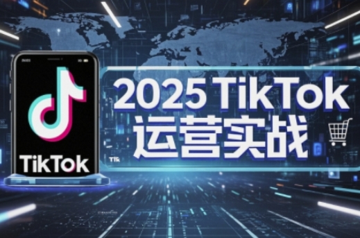 2025TikTok电商运营，掌握TikTok店铺运营核心技巧，实现低成本高转化-九零网创