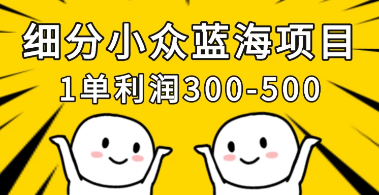 细分小众蓝海项目，一单利润300-500，每月收入稳定4w+-九零网创
