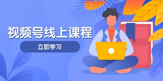 视频号实战课程，轻IP打造与运营技巧，掌握核心方法与策略-九零网创