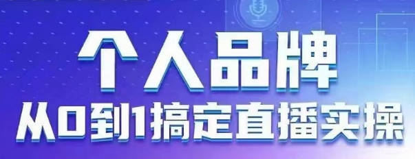 个人品牌：从0到1搞定直播实操，用直播为你的个人品牌赋能，六大实操板块，放大个人影响力-九零网创