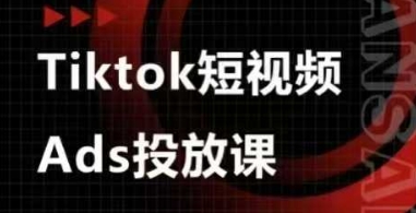 Ads视频投放课，tiktok短视频广告投放课-九零网创