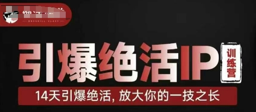 引爆绝活IP训练营，14天引爆绝活，放大你的一技之长-九零网创