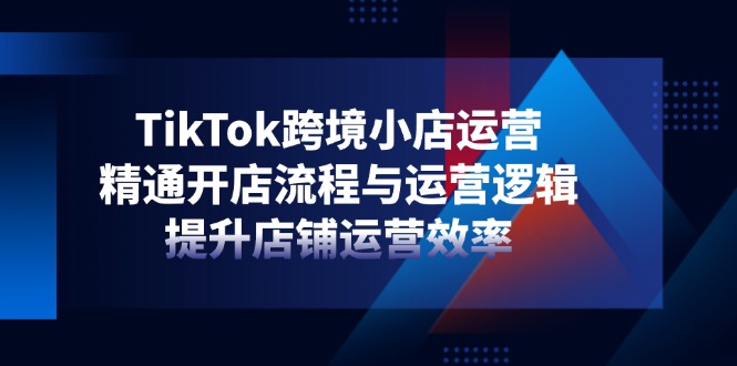 TikTok跨境小店运营，精通开店流程与运营逻辑，提升店铺运营效率-九零网创