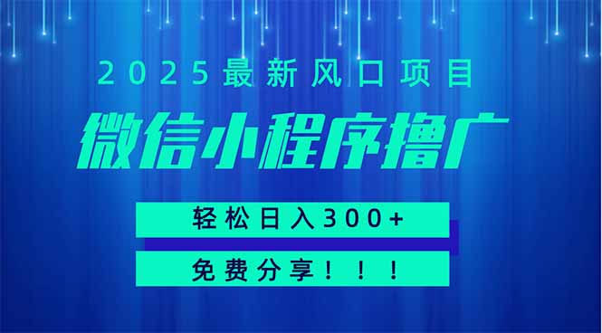 微信小程序撸广，最新风口项目，日入300+ 免费分享 可批量操作 小白可…-九零网创