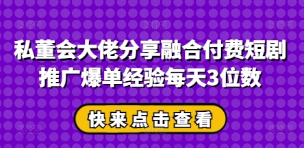 私董会大佬分享融合付费短剧推广爆单经验每天3位数-九零网创