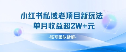 小红书私域项目新玩法，单月变现过W+-九零网创