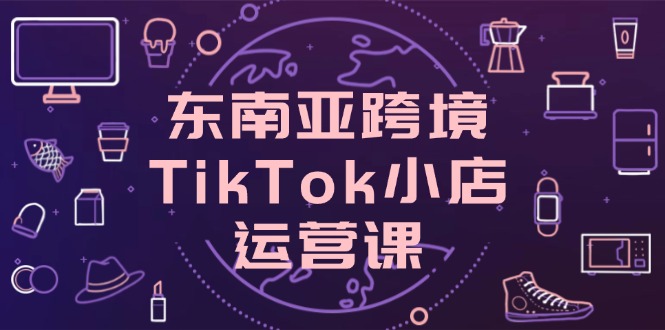 东南亚跨境TikTok小店运营课，掌握店铺设置与流量转化核心技巧-九零网创
