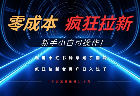 利用小红书种草知乎漏洞，零成本疯狂拉新日入数张，新手小白可操作-九零网创