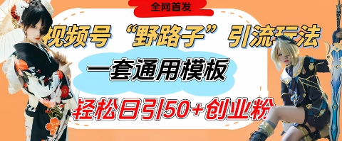 视频号“野路子”玩法，评论区疯狂截流，一套模板单日单号引流50+创业粉-九零网创