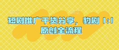 短剧推广干货分享，豹剧 1:1原创全流程-九零网创