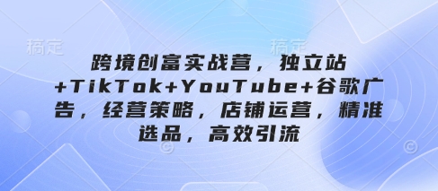 跨境创富实战营，独立站+TikTok+YouTube+谷歌广告，经营策略，店铺运营，精准选品，高效引流-九零网创