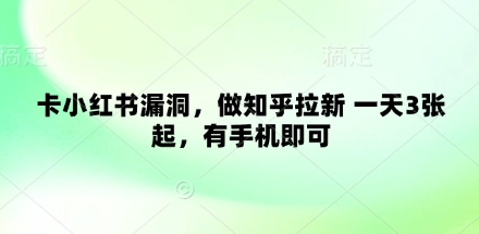卡小红书漏洞，做知乎拉新 一天3张起，有手机即可-九零网创