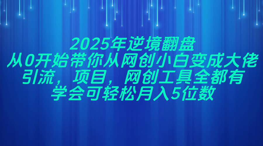 2025年逆境翻盘，从0开始带你从网创小白变成大佬，引流，项目，网创工…-九零网创