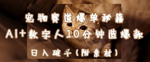 宠物赛道爆单秘籍：AI+数字人10分钟造爆款，日入1k-九零网创