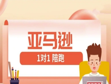 亚马逊1对1陪跑课(FBA/FBM精铺)跨境亚马逊教程-九零网创