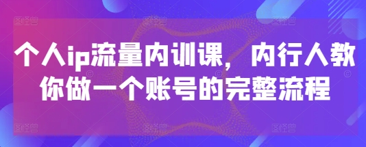个人ip流量内训课，内行人教你做一个账号的完整流程-九零网创