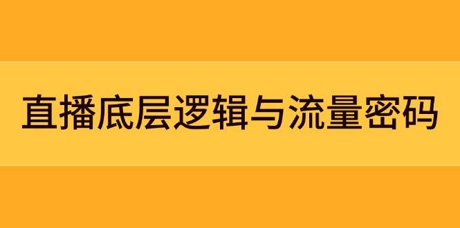 直播底层逻辑与流量密码：定位模型+案例拆解，急速流承接与数据优化全攻略-九零网创