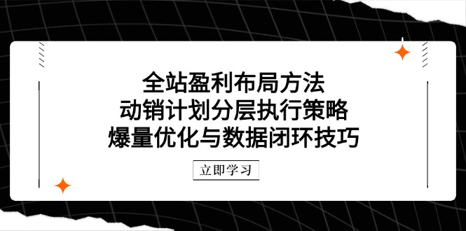 全站盈利布局方法：动销计划分层执行策略，爆量优化与数据闭环技巧-九零网创