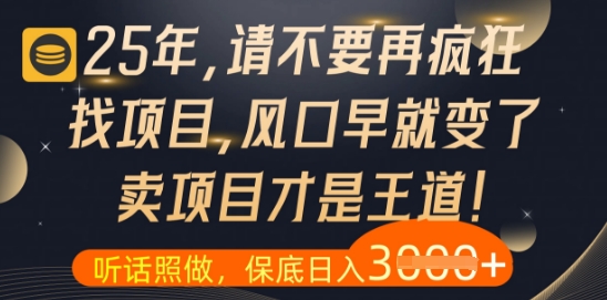 什么？25年你还在疯狂找项目做，醒醒吧，看完这些你全都懂了【揭秘】-九零网创