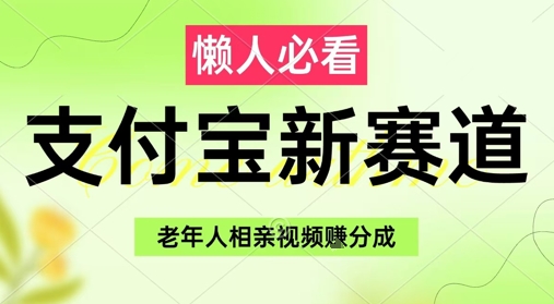 支付宝新赛道，利用老年人相亲视频，挣分成收益，轻松月入过W，操作简单-九零网创