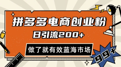 拼多多引流电商创业粉，日引200+，可矩阵放大，做了就有效【揭秘】-九零网创