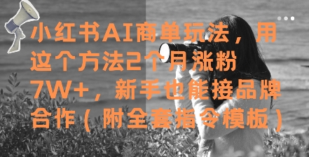 小红书AI商单玩法，用这个方法2个月涨粉7W+，新手也能接品牌合作(附全套指令模板)-九零网创