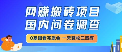 网创搬砖项目，国内问卷调查，小白轻松上手，一天三四张的也不难，干就完了【揭秘】-九零网创