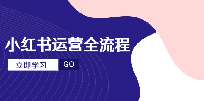 小红书运营全流程，爆款选题文案，视频制作技巧，进阶达人宝典-九零网创