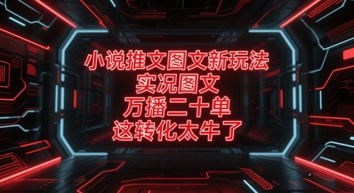 小说推文图文新玩法，实况图文，万播二十单，这转化太牛了！-九零网创